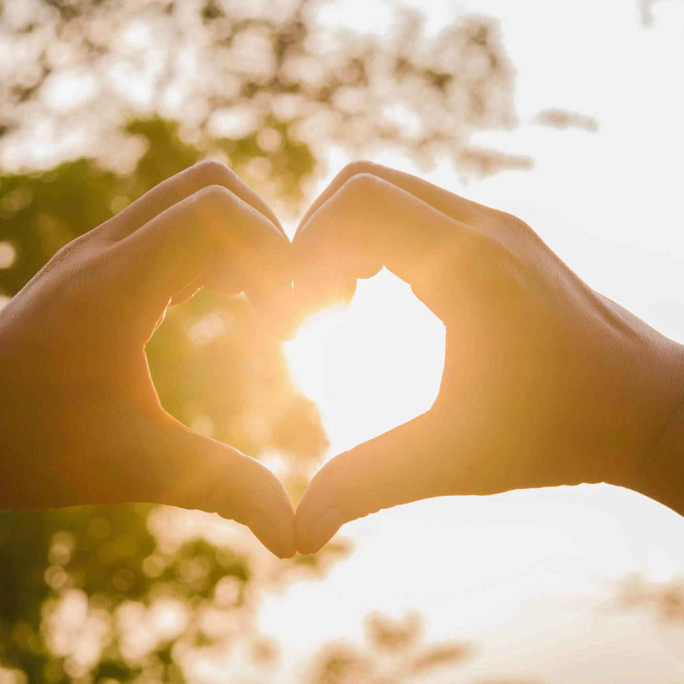 hands in shape of love heart and sunshine become a foster parent