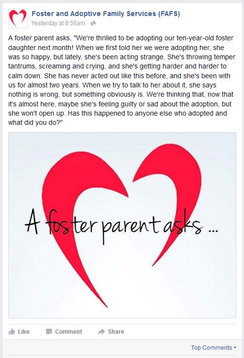 A Foster Parent Asks