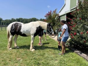 Fall Family Fun on the Farm