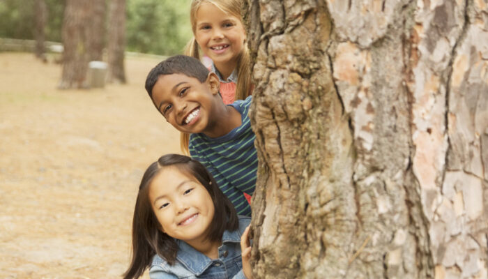 Children peeking out from behind tree in forest